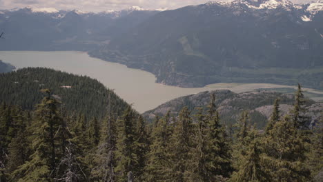 revealing shot from forest to howe sound on spring sunny day