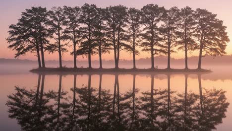 a serene dawn reveals a mirrored row of majestic trees at the water's edge, capturing the tranquil beauty of nature in misty reflections