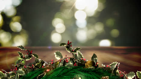 Christmas-Holly-wreath-with-sunlight