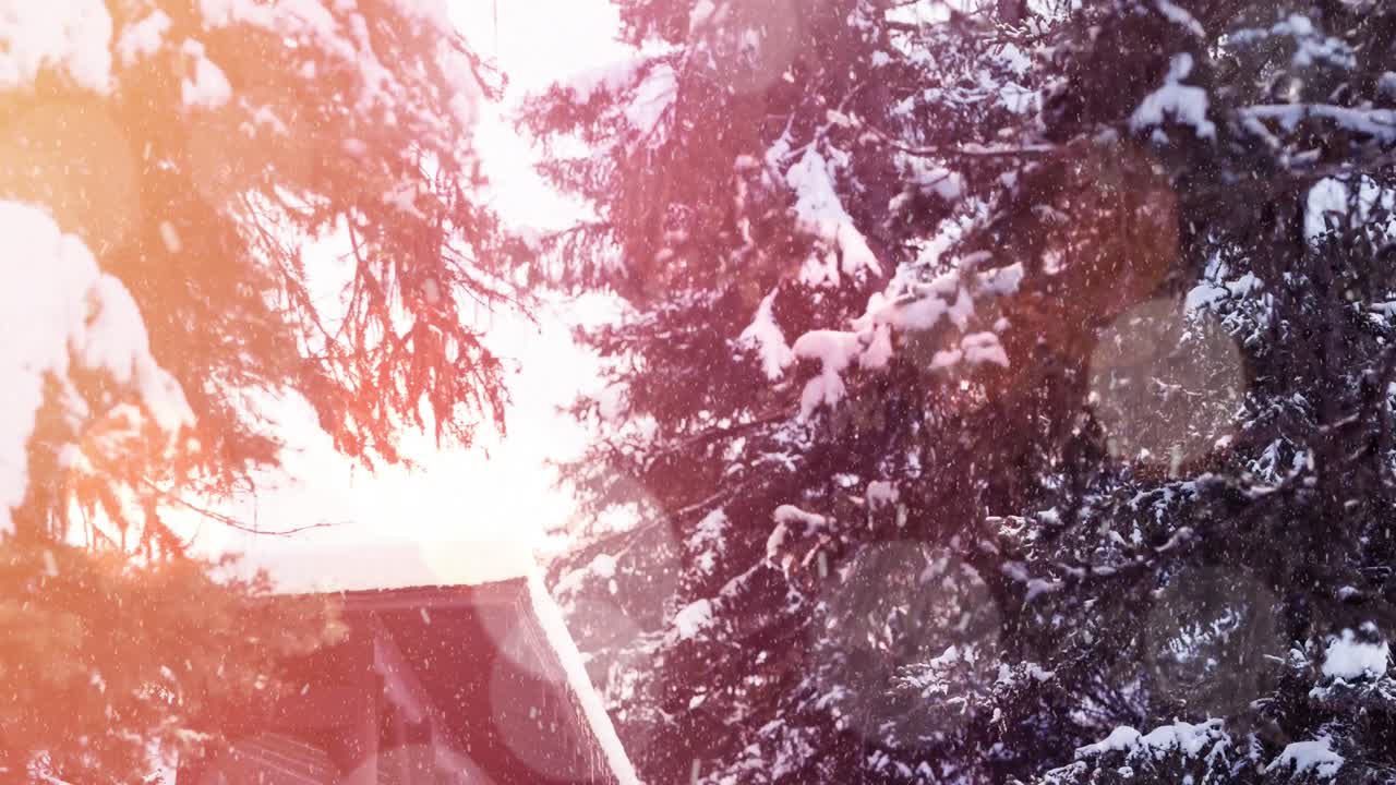 풍경 위의 빛의 점의 애니메이션