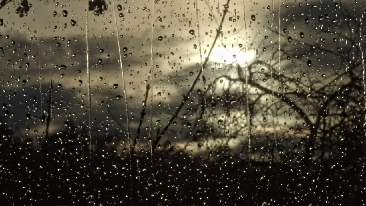 Rain drops slide down window to dark branches silhouetted against cloudy sky