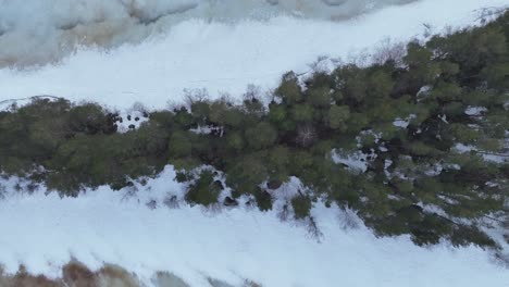 flying directly above a frozen lake and trees on an island