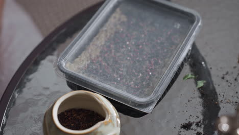 pot with seeds and closed disposable tray positioned on glass table near indoor gardener tools signifying prepared environment for seed germination and home planting ritual for growing greens