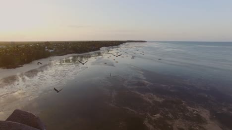 antena: la parte oriental de zanzíbar durante la marea baja y la puesta del sol