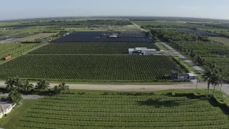 Excelente-Toma-Aérea-De-Viveros-En-El-Sur-De-Florida