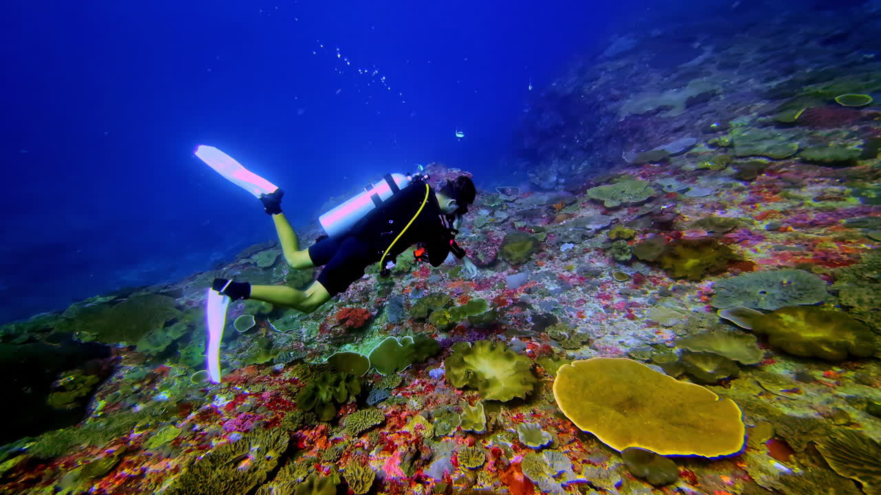 Underwater explorer observing corals at the bottom of sea