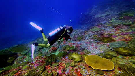 underwater explorer observing corals at the bottom of sea