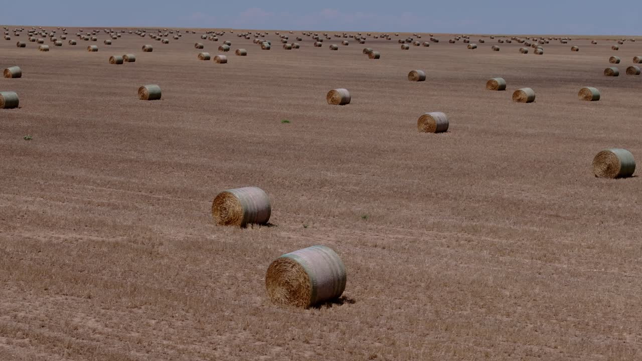 Ripresa aerea di droni di balle di fieno rotonde sparse in un vasto terreno agricolo del Kansas