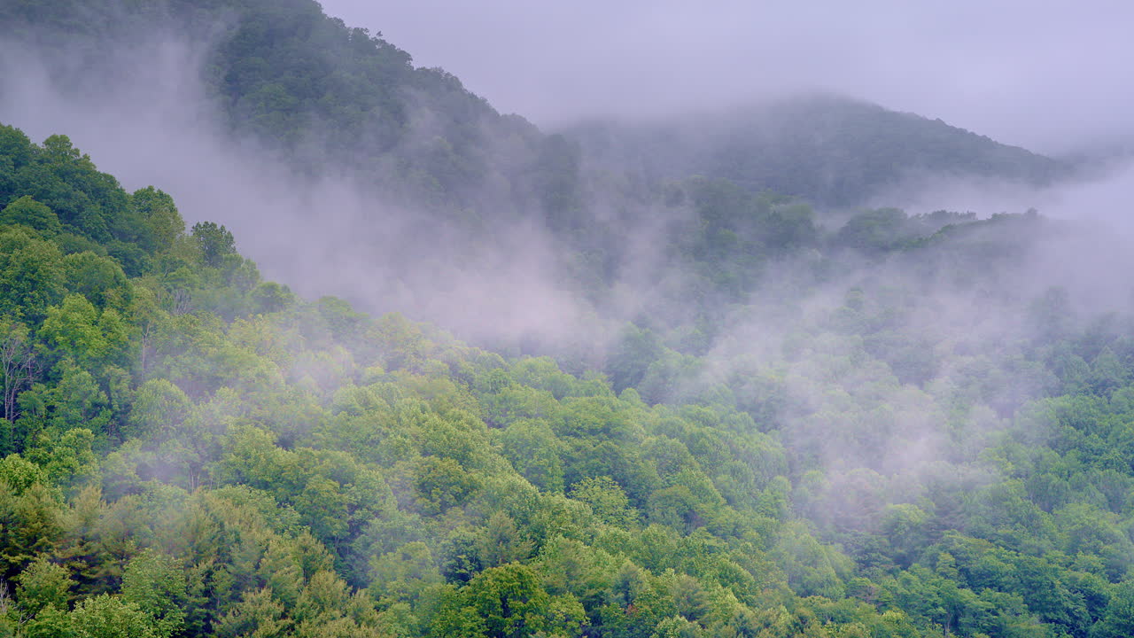 Cinematic drone movement over a tranquil, vapor-shrouded mountain valley