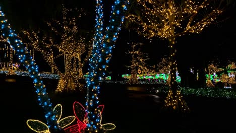 4khd navidad 2020 jardín botánico okinawa japón-15