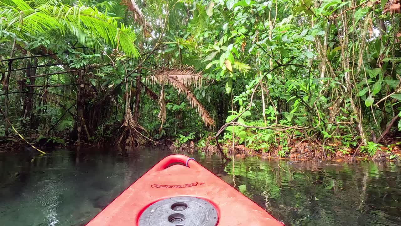 활기찬 카야크 를 타고 울창 한 수로 를 탐험 하는 것