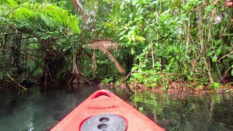 explorando las exuberantes vías fluviales en un vibrante kayak