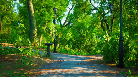 green alley with trees in the park