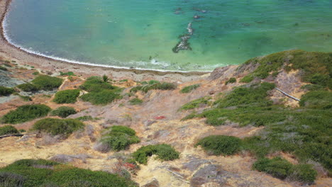 Looking-over-the-rocky-bluff-at-Rancho-Palos-Verdes-near-Long-Beach,-California-at-the-turquoise-ocean-water---aerial-tilt-down-view