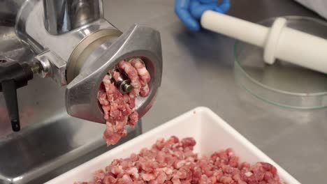 grinding pork meat in a coarse-grind machine