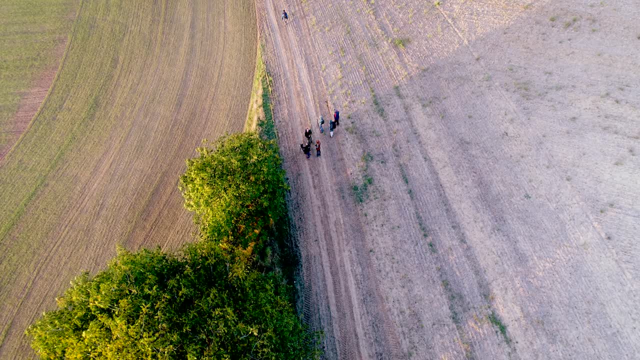 Group of tourists stand along wood and enjoy leisure time in nature