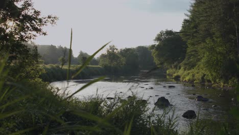 fiume all'alba con panoramica a destra