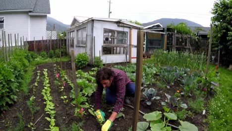 hombre plantando un jardín 4k