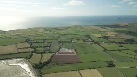 coastal cultivated land with agricultural fields in county cork, ireland