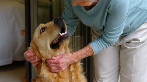 Senior-woman-stroking-a-dog-at-home-4k