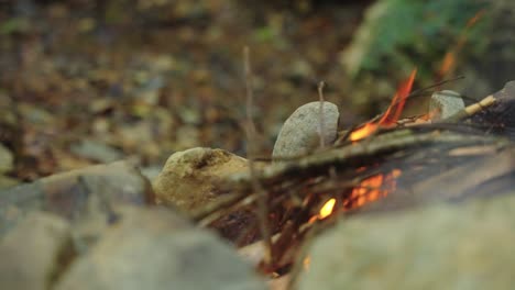 campfire burning away in cozy forest scene, 4k close pan shot