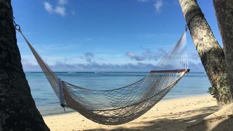 empty hammock on a tropical pacific island