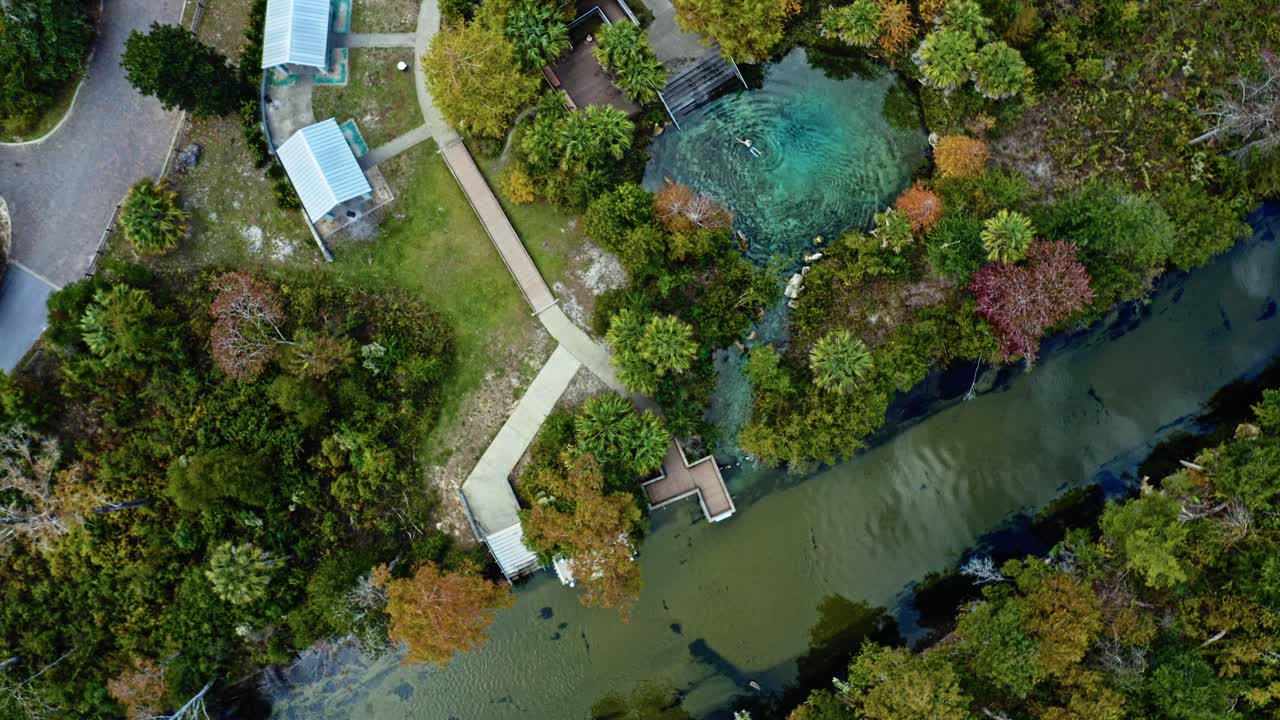 Crystal-blue spring beside a calm river at Pitt and Sylvan Springs, Florida, featuring walkways, a wooden dock, and lush forest vegetation