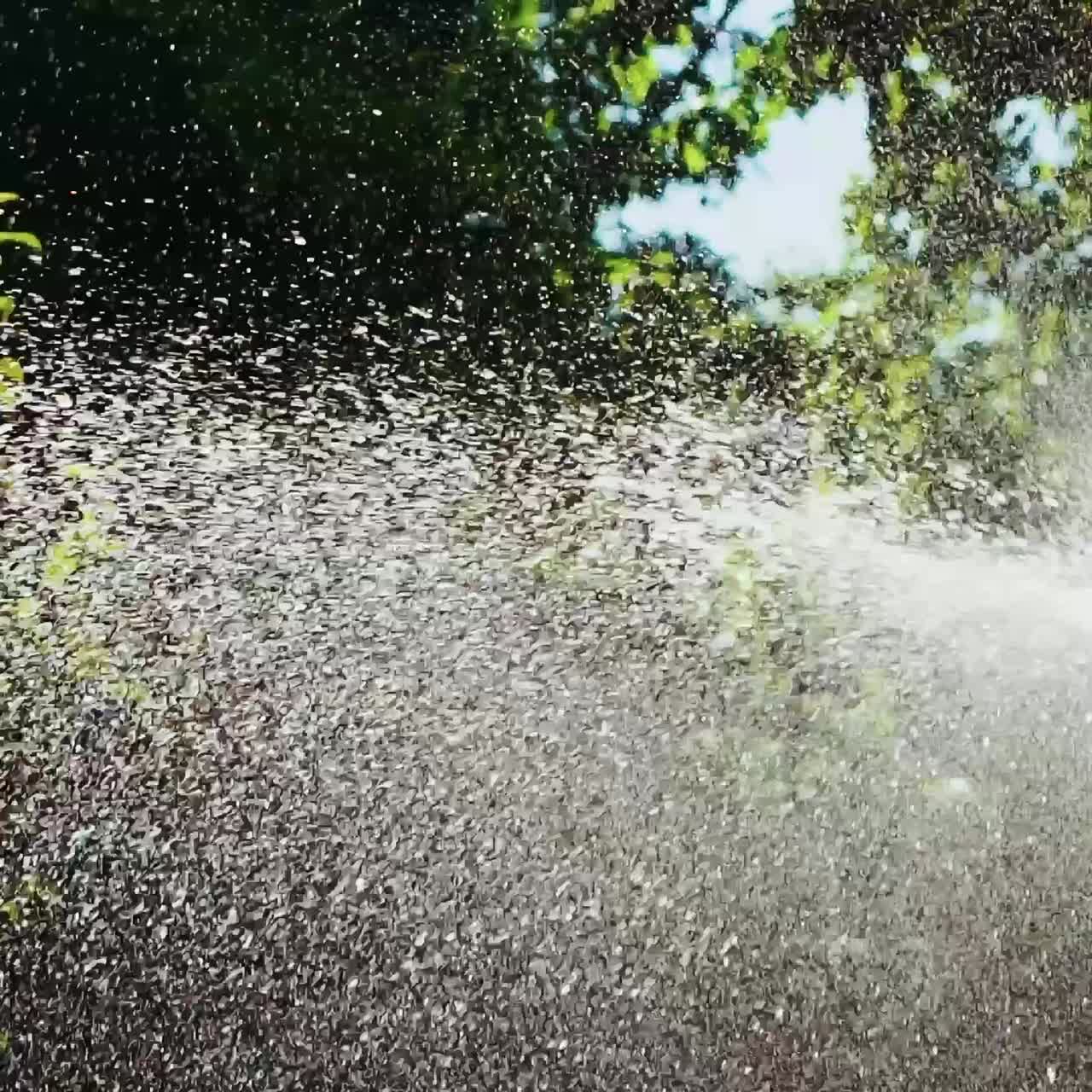 Sprinkler hose for irrigation plants