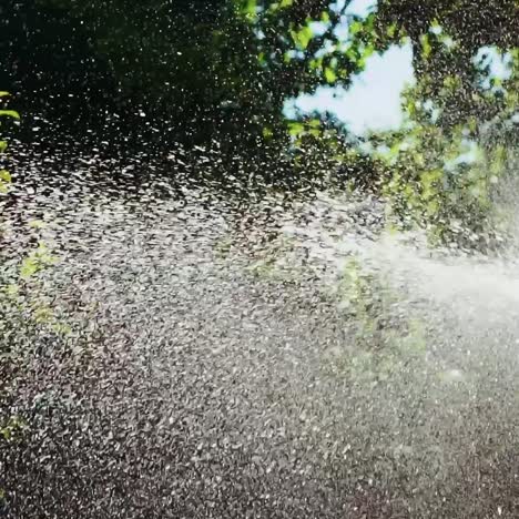 sprinkler hose for irrigation plants