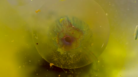 abstract macro yellow floating organic orb with background texture