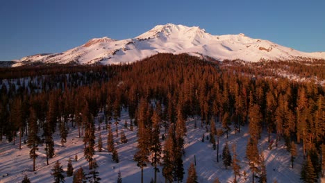 Epic-snow-covered-mountain-summit,-evergreen-forest-in-foreground