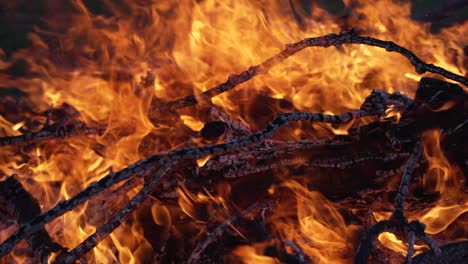 Lauffeuer,-Waldbrand,-Brennende-Bäume,-Holz,-Äste-In-Filmischer-Zeitlupe