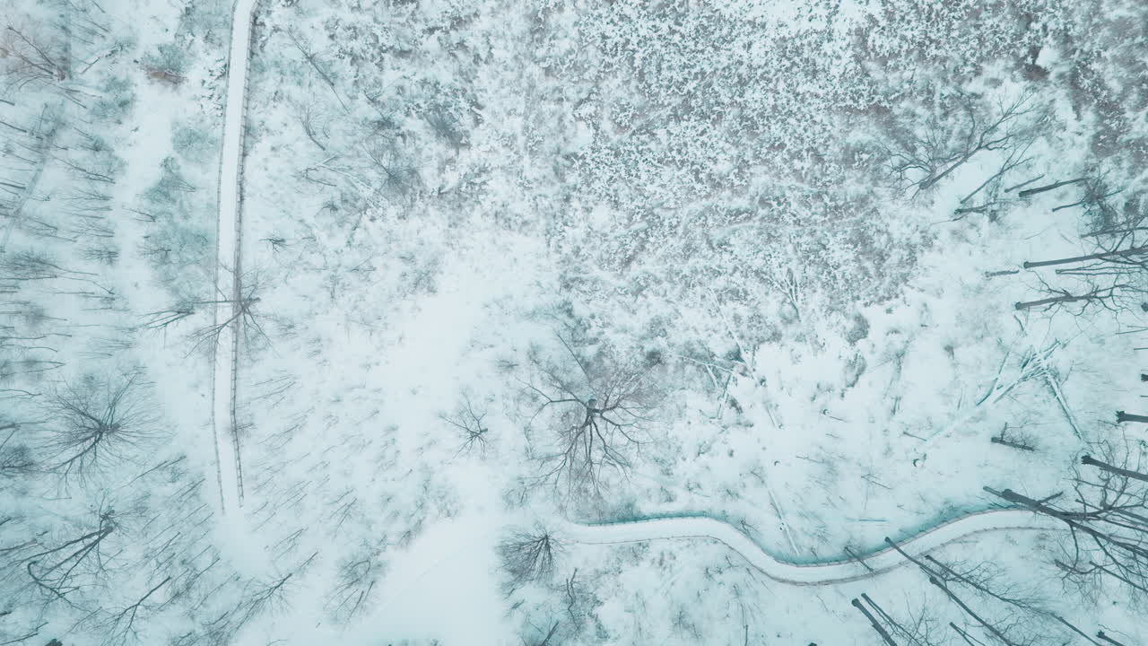 Vista aerea di una foresta innevata con sentieri tortuosi