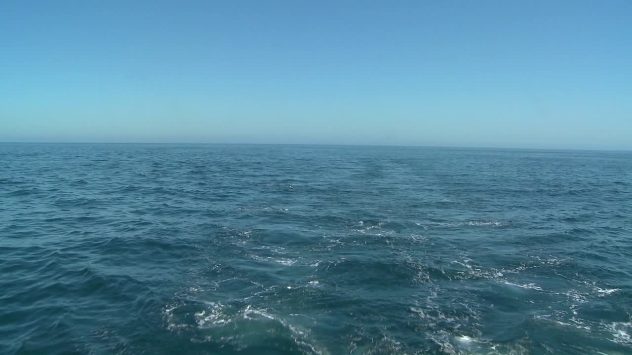 una foto del mar abierto