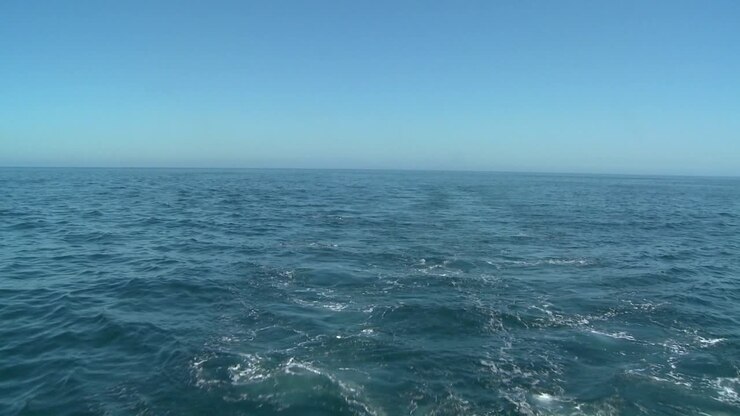Un'inquadratura dell'oceano aperto