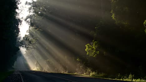 Los-Rayos-Del-Sol-Brillan-Maravillosamente-En-Una-Autopista-O-Carretera-2