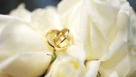 two gold wedding rings rest delicately on white rose petals, elegance, union, marriage