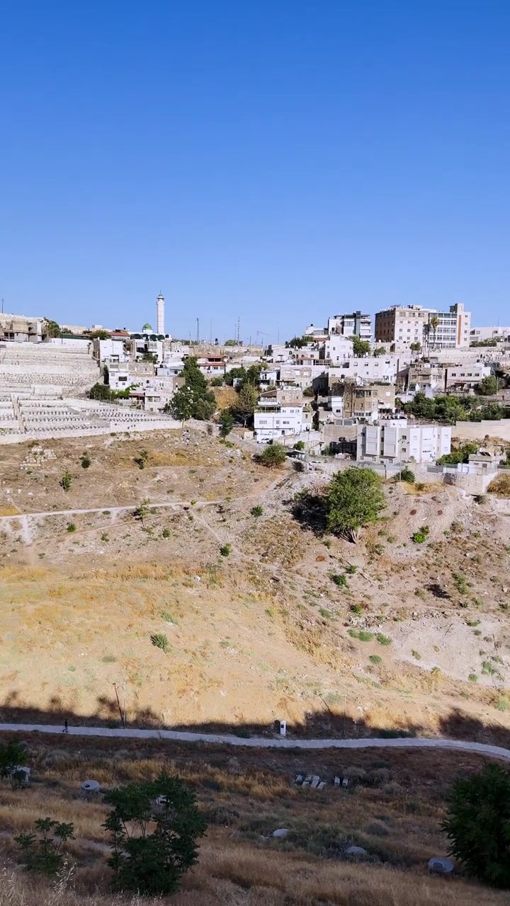 Vista panoramica del Monte degli Ulivi e della Valle del Cedron a Gerusalemme