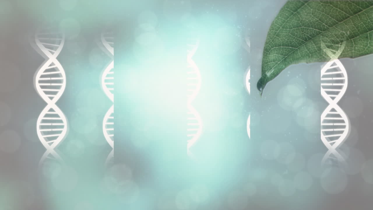 Animazione di strutture di DNA su un primo piano di una foglia e punti luce su sfondo grigio.