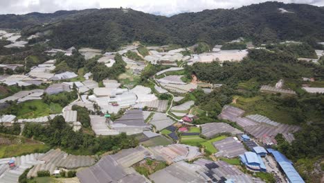 general landscape view of the brinchang district within the cameron highlands area of malaysia