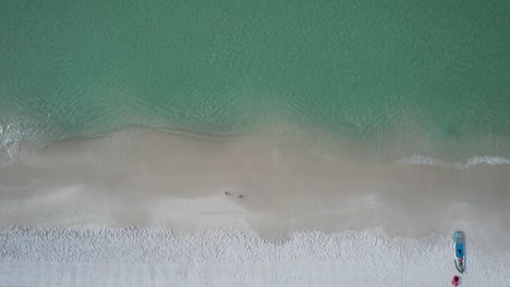 Vista-Aérea-De-Una-Tabla-De-Remo-Y-Pájaros-En-Una-Playa-De-Arena-Blanca-De-Florida-En-Las-Aguas-Cristalinas-Esmeralda-Del-Golfo-De-México