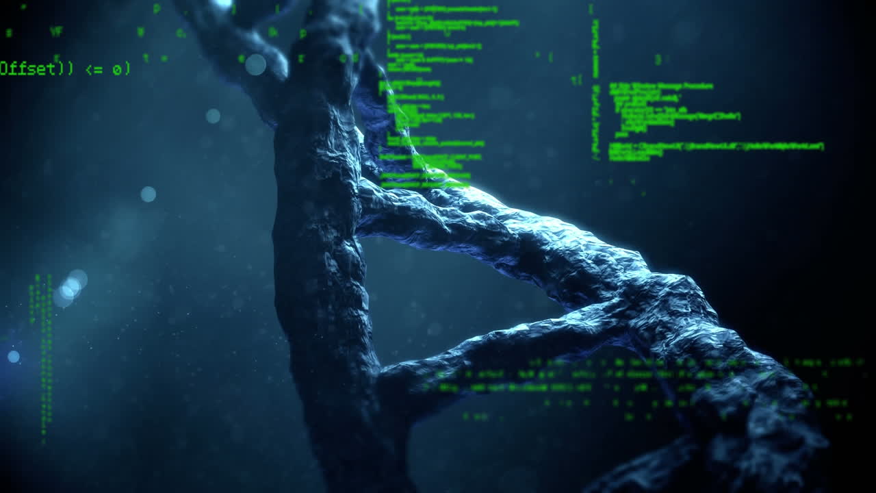 DNA and interface codes