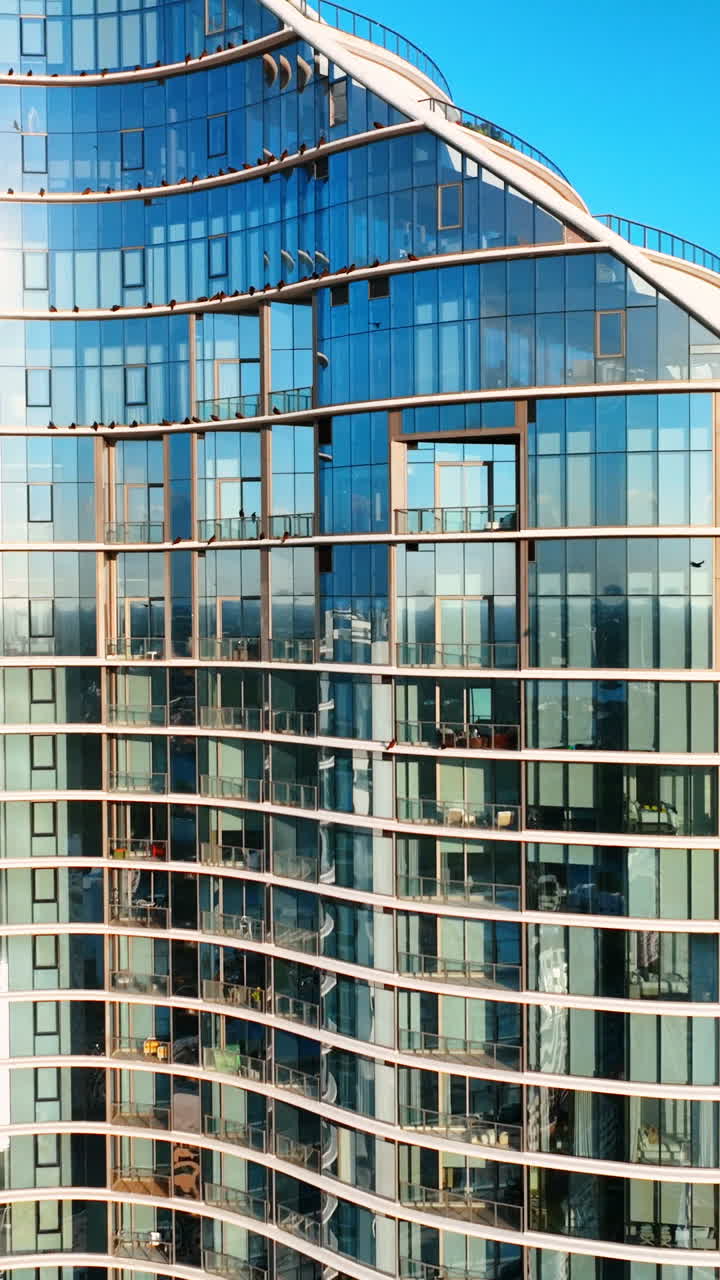 Pájaros posados en las repisas y balcones de un moderno edificio de cristal de gran altura durante el día. Rascacielos de cristal en Miami. Hotel en Sunny Isles Beach. Vista aérea. Vídeo vertical