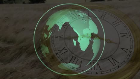 animation of network of connections and clock over wheat field