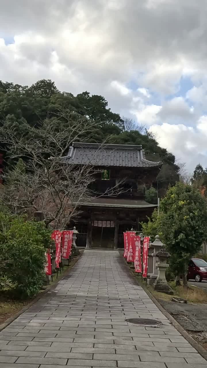 persona caminando hacia un santuario con puerta torii