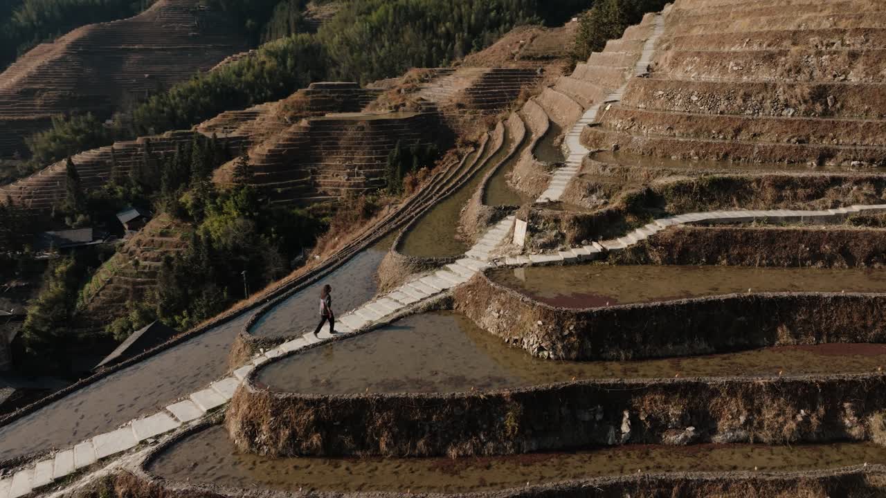 Drone tilt-up shot captures a person walking along the Longsheng rice terraces near Guilin, Guangxi, China