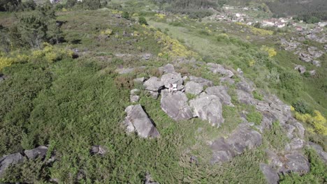 Aerial-rotating-shot-of-rocks-over-hilltop-surrounded-by-hilly-terrain-on-a-bright-sunny-day