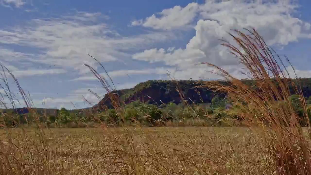 Grassland Vegetation, Remote Travels, Dirt Tracks, Arid Environments, Journey Motion, Dirt Tracks, Wilderness Adventures