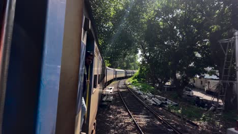 man looks out train window on journey through lush greenery