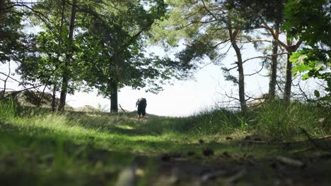 Person-walking-in-the-distance-in-a-beautiful-green-forest-environment